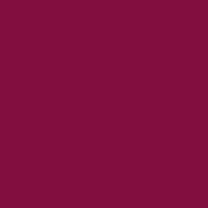 Mynena Berry Red Long-Lasting Matte Liquid Lipstick Intense Color Smudge-Proof & Waterproof Comfortable Hydrating Shea Butter Vegan & Cruelty-Free | Lisy