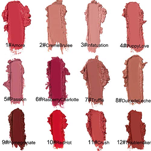 Kayswnag 12 Color Cream Texture Waterproof Lipstick, Lip Kayswnag