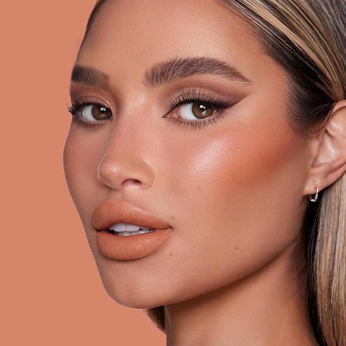 Velvet Matte Lipstick, High Pigment Lip Mud, Longwear, High