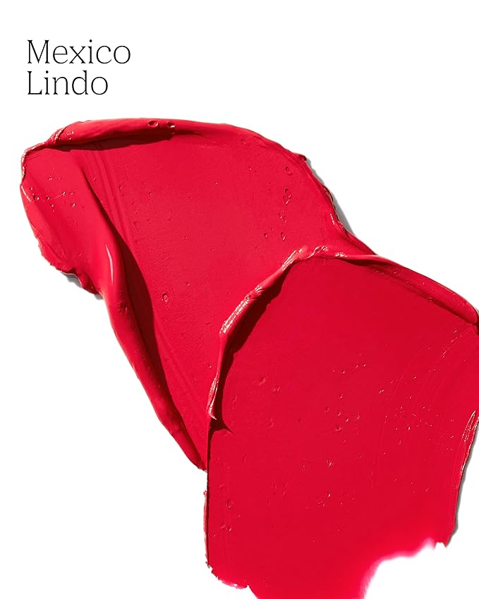 Bold Aspirations Liquid Lipstick (Mexico Lindo) | Highly Highly