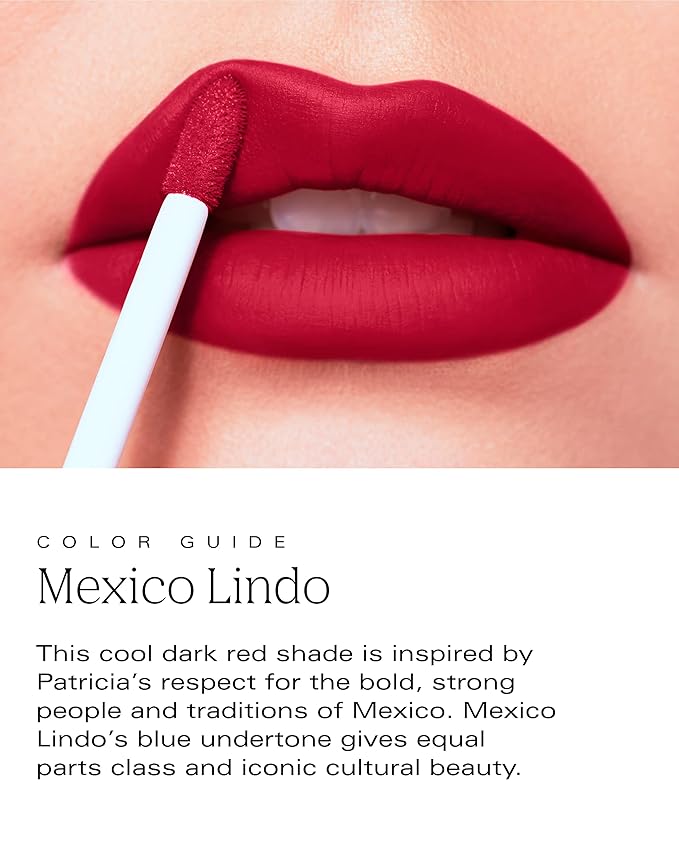 Bold Aspirations Liquid Lipstick (Mexico Lindo) | Highly Highly