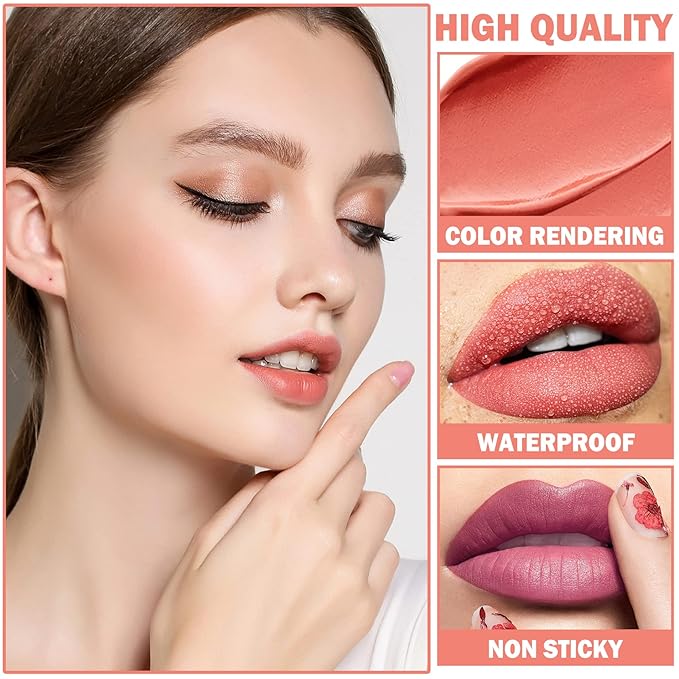 AWCCXMYM 4Pcs Nude Lipstick Set Lip Stain Lip Gloss
