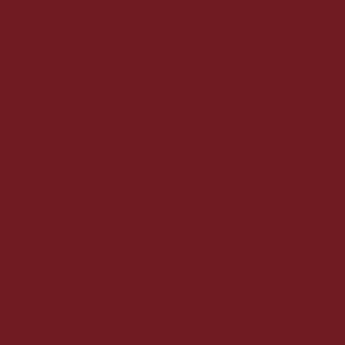Mynena Long-Lasting Matte Liquid Lipstick | Intense Color, Smudge-Proof & Waterproof | Comfortable, Hydrating Shea Butter | Vegan & Cruelty-Free | IMerlot