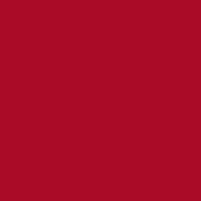 Mynena Bright Red Long-Lasting Matte Liquid Lipstick | Intense Color, Smudge-Proof & Waterproof | Comfortable, Hydrating Shea Butter | Vegan & Cruelty-Free | Lola