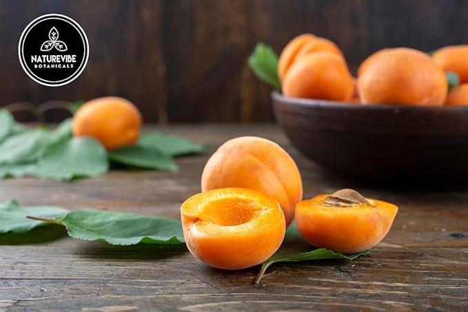 Naturevibe Botanicals Apricot Oil 32 Ounces