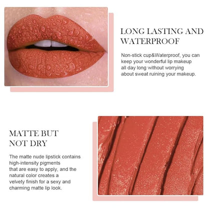 BINGBRUSH Crayon Matte Longwear Lipstick Pack Set,Moisture Sm