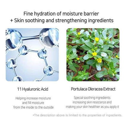 Vegan Green Mild Hyaluron Ampoule 55mL / 1.85 Fl oz - SOS Moisture Care
