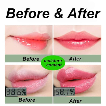 2 Pack Aloe Vera Lipstick, LemonSac Long Lasting Long