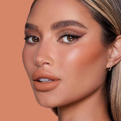 Velvet Matte Lipstick, High Pigment Lip Mud, Longwear, High