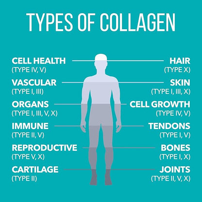 NaturesPlus Collagen Peptides - 0.65 lbs Powder - Hair, Skin, Nail & Joint Health, Immune System Support - Non-GMO, Gluten Free - 28 Servings