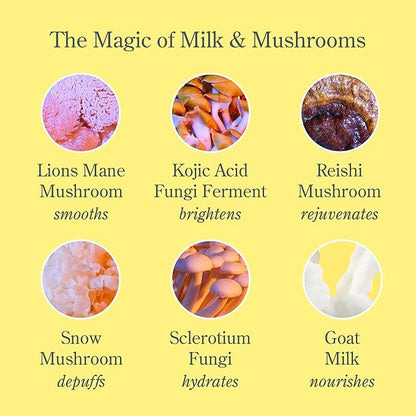 Beekman 1802 Mushroom Goat Milk Eye Cream - Clinically Proven Anti-Aging Eye Treatment for Dark Circles & Fine Lines - With Kojic Acid, Hexapeptide & Mushrooms - Fragrance-Free, Cruelty-Free