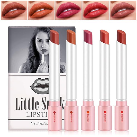 5 Colors Matte Cigarette Lipstick Set Velvet Little Tube Cigarettes Lipstick Lip Gloss Set Non-Stick Cup Lip Stain Long Lasting Waterproof Red Lipstick Lip Makeup