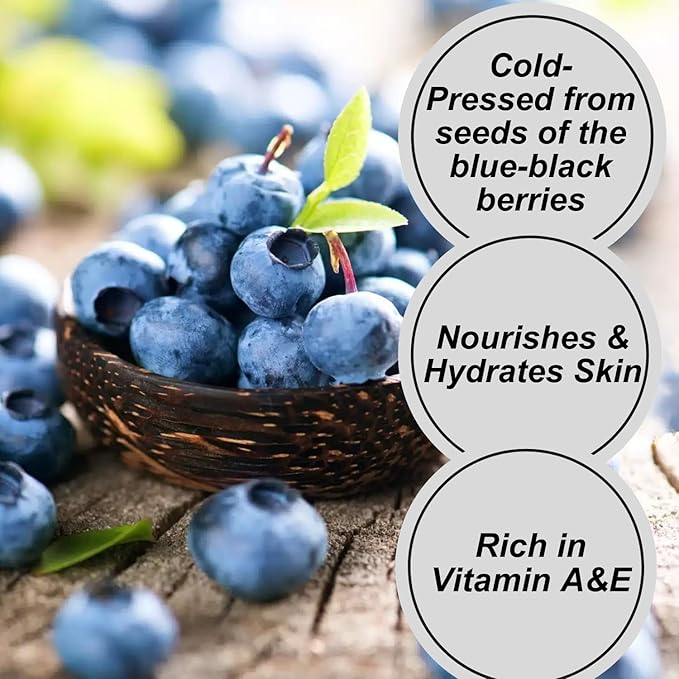 Naturevibe Botanicals Blueberry Oil 32 Ounces