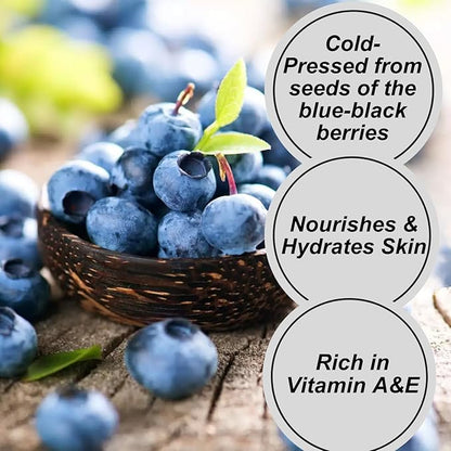 Naturevibe Botanicals Blueberry Oil 32 Ounces