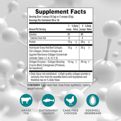 NaturesPlus Collagen Peptides - 0.65 lbs Powder - Hair, Skin, Nail & Joint Health, Immune System Support - Non-GMO, Gluten Free - 28 Servings