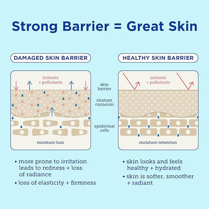 Skinfix Barrier+ Lipid-Boost Body Cream: Daily, All-Over Vegan Body Cream That Nourishes Skin & Is Clinically Proven to Increase Hydration, 10 Fl Oz