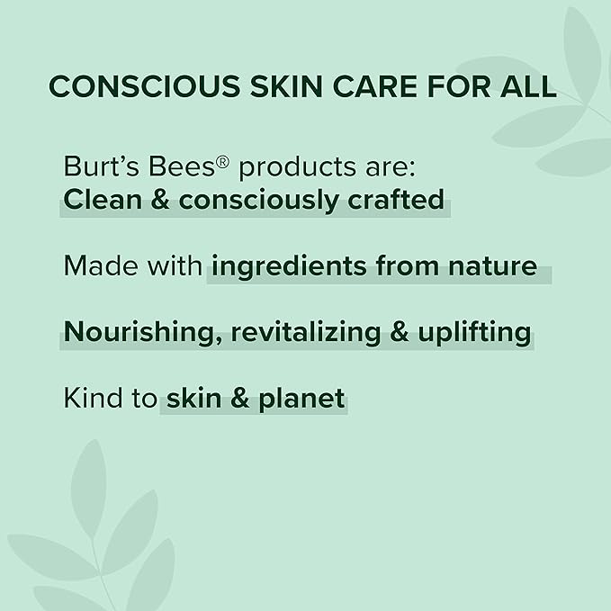 Burt's Bees 100% Natural Origin Moisturizing Matte Lip