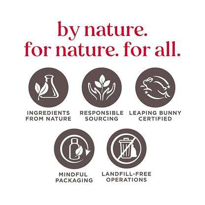 Burt's Bees Mothers Day Gifts Essential Beauty Set, 5 Travel Size - Deep Cleansing Cream, Hand Salve, Body Lotion, Foot Cream and Lip Balm, with 4 Flavored Lip Balms