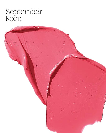 Bold Aspirations Liquid Lipstick (September Rose) | Highly Highly