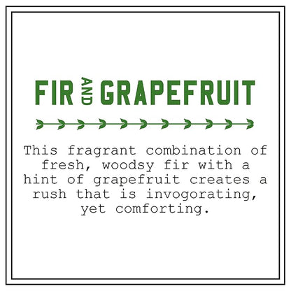 BARR-CO. Fir & Grapefruit Scent Shea Butter Lotion for Dry Skin, Bright Grapefruit and Cooling Balsam, Shea Moisturizing Lotion for Sensitive Skin, 16 fl oz