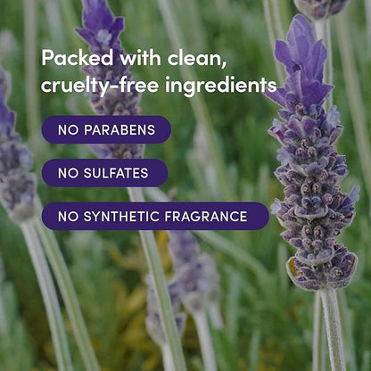LATHER - Lavender Lime Body Moisturizer, 8 fl oz - Daily Hydrating Body Lotion - Essential Oils & Vitamins - Aloe, Safflower Oil, Almond Oil, & Amino Acids - Vegan & Cruelty Free - Beauty & Skin Care