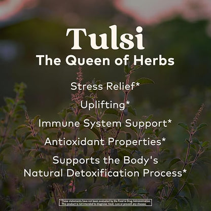 Organic India Tea Sampler Box Variety Pack - Tulsi Herbal Tea Gift Set, Hot Tea Assortment, Holy Basil, Ashwagandha, Turmeric Ginger, Sweet Rose, Original, Sleep, Masala Chai - 60 Tea Bags