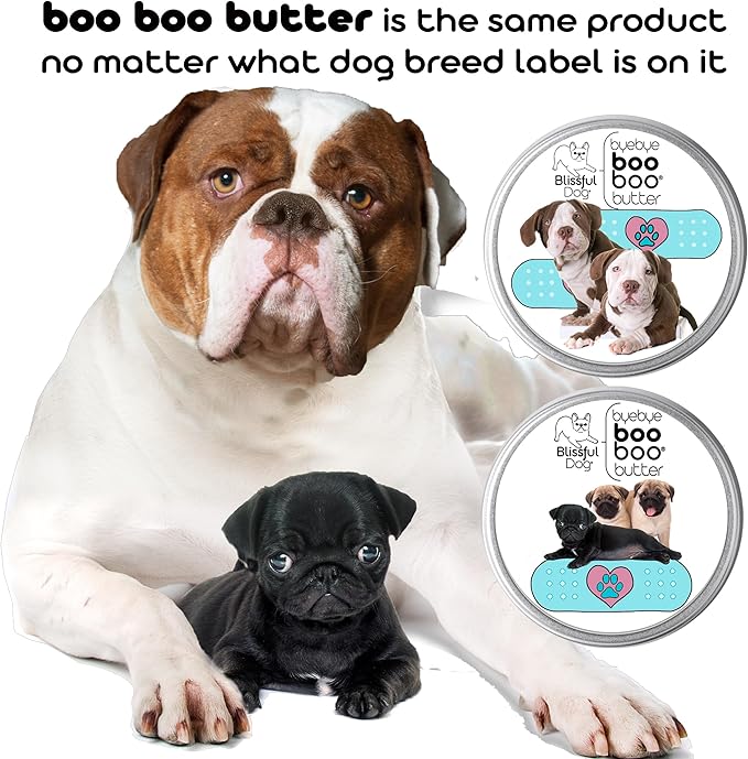 Shiba Inu Boo Boo Butter, 16-Ounce