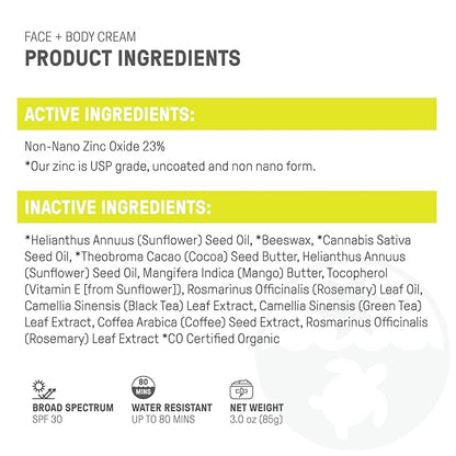 Raw Elements Face and Body Mineral Sunscreen SPF 30 Tin, Organic Sunblock Daily Protection, Non Toxic Reef Safe, Water Resistant, Cruelty Free, Plastic Free, 3 oz (Pack of 1)