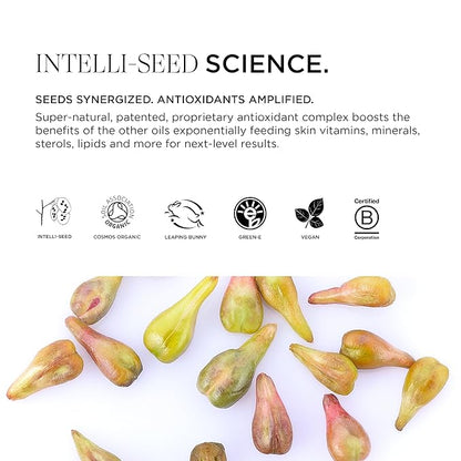 Intelligent Nutrients Seed Synergy Hydra-Lotion, Daily