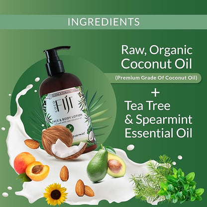 Coco Fiji Face & Body Lotion Infused With Coconut Oil | Lotion for Dry Skin | Moisturizer Face Cream & Massage Lotion for Women & Men | Tea Tree Spearmint 12 oz, Pack of 3