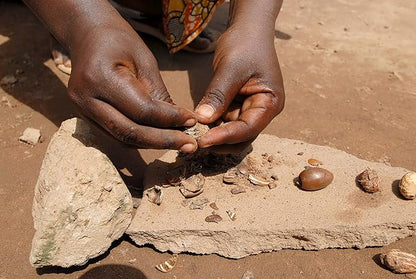 African Shea Butter Ivory - 100%