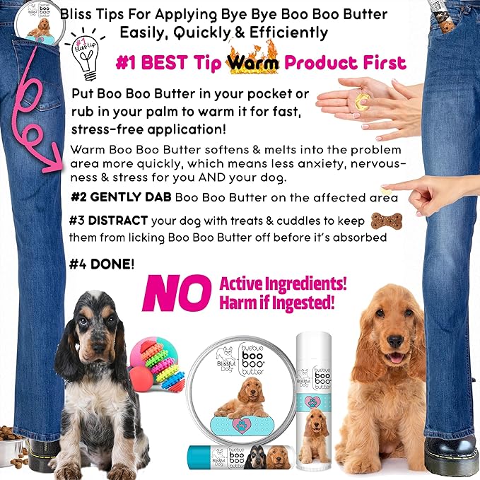English Cocker Spaniel Boo Boo Butter,