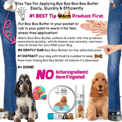 English Cocker Spaniel Boo Boo Butter,