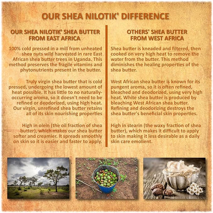 Shea Terra Organics 100% Organic Cold-Pressed Virgin Shea Butter – S. African Lavender | Natural Anti-Aging Daily Skin, Nails & Hair Cream to Soften & Rejuvenate Skin & Reduce Stretch Mark – 6 oz