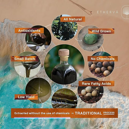ETHERVA Tamanu Oil | No Chemicals | Natural Scent | Unrefined, Raw, Cold Pressed, Solidifies in Winter | Wild Grown Organic Indian Origin | DIY Face, Body, Scalp & Hair | PET Bottle 16.9 Fl Oz